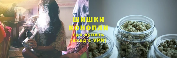 шишки Богородск