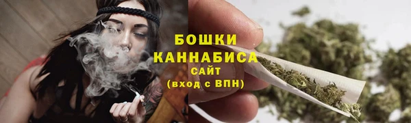 шишки Богородск