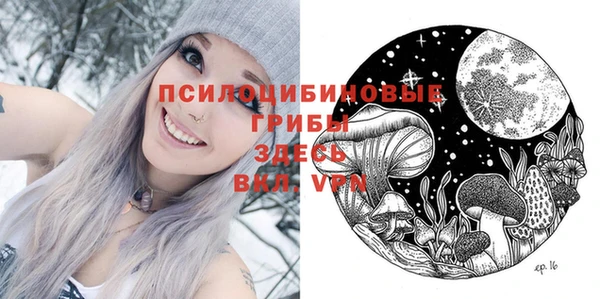 скорость Богданович